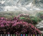 Windows 10 Start Menu/Search Window - Overlay on the search window appears - and reappears... IV4pgHlc-bhEsfPtwZbrbpWRgUCz8QFxQ7qaomQjJS0.jpg