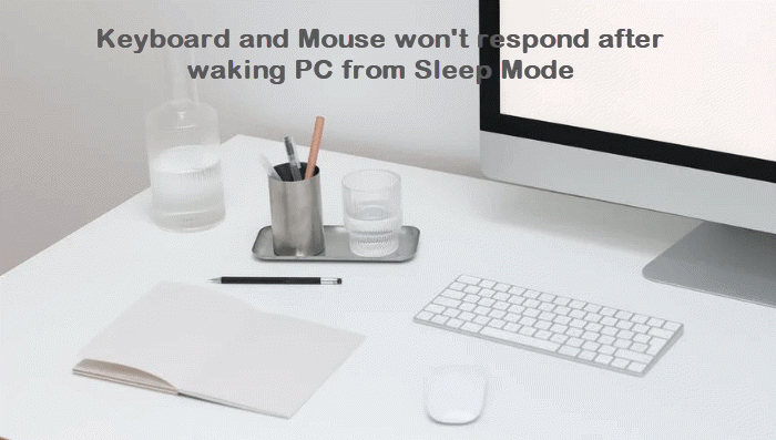 Keyboard and Mouse won’t respond after waking Computer from Sleep Mode Keyboard-and-Mouse-wont-respond-after-waking-PC.png