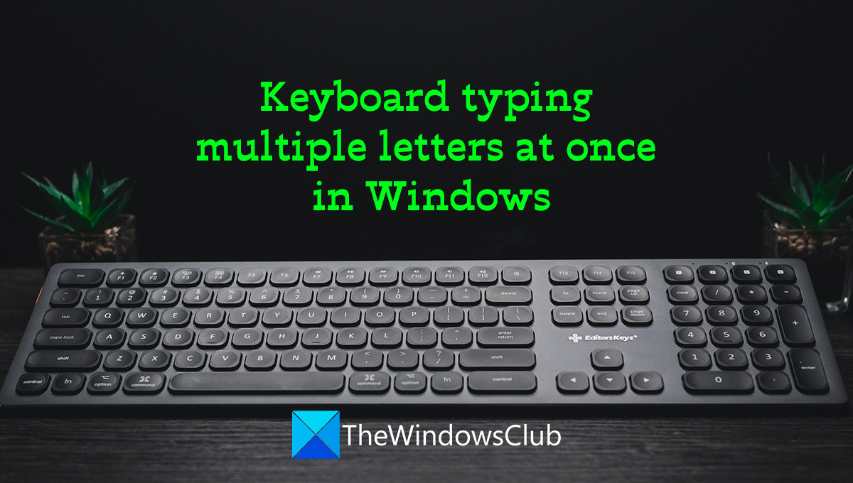 Keyboard typing multiple letters at once in Windows 11/10 Keyboard-typing-multiple-letters-at-once-in-Windows.png