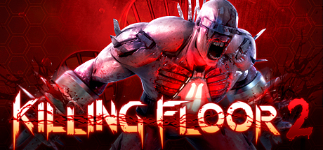 Blue screen multiple times occasionally while playing counter strike 2, now killing floor 2. kf2-jpg.jpg