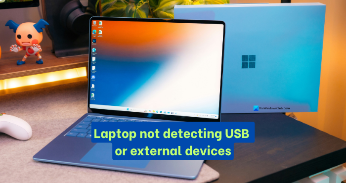 Laptop not detecting USB or External devices Laptop-not-detecting-USB-or-External-devices.png