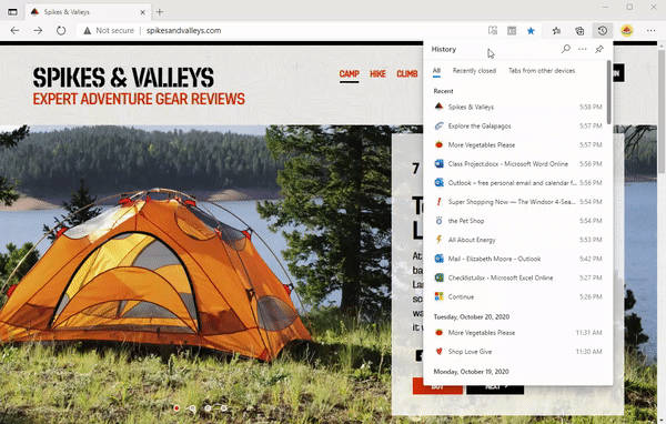 Microsoft announces improvements to history in Microsoft Edge large?v=1.gif