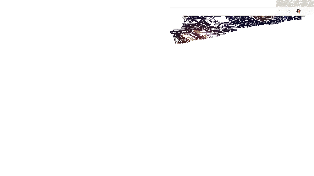 What is New in Microsoft Edge for Education - BETT / January 2021 large?v=1.gif