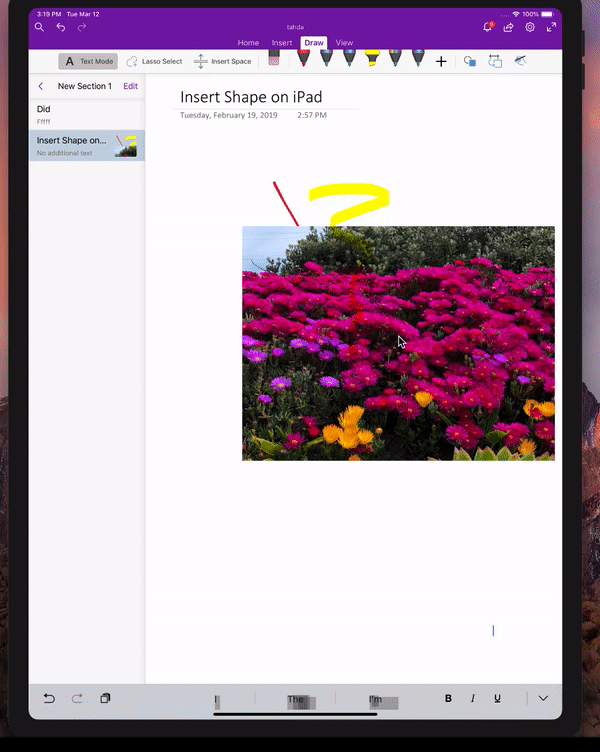Microsoft Announces 30 Updates for OneNote and Class Notebooks large?v=1.gif