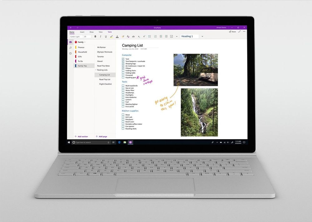 OneNote: March 2019 new features for Mac and Windows 10 large?v=1.jpg