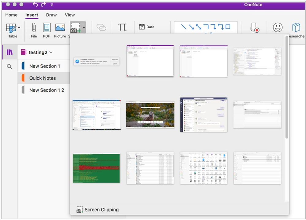 Microsoft Announces 30 Updates for OneNote and Class Notebooks large?v=1.jpg