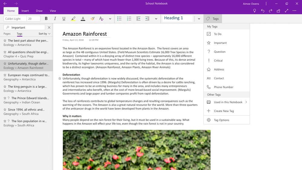 Converting OneNote 2016 shared workbooks so that they open on Windows 10 Onenote large?v=1.png