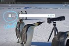 Bing Long Change Again? LEODKbv-3izAMtIWfvV-IpIwcNYpUaKFDi8ESIdj67w.jpg