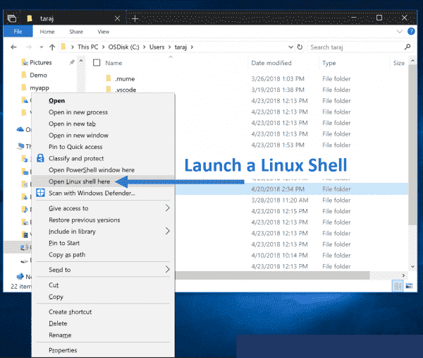 New for Windows Subsystem for Linux in Windows 10 October 2018 Update Linux-Shell-600x507.png