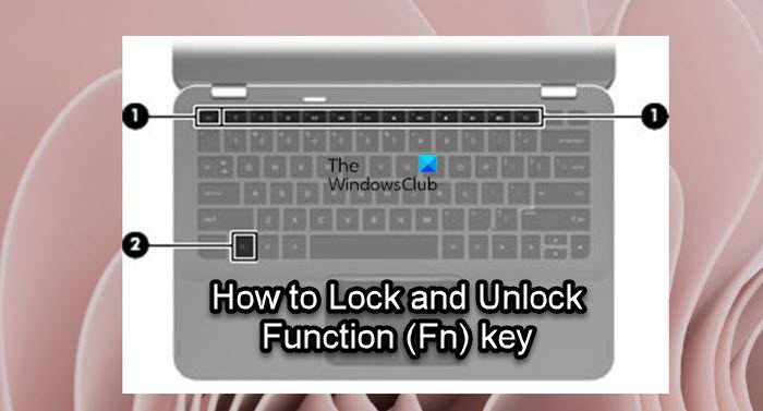 How to Lock and Unlock Function (Fn) key in Windows 11/10 Lock-and-Unlock-Function-Fn-key.jpg