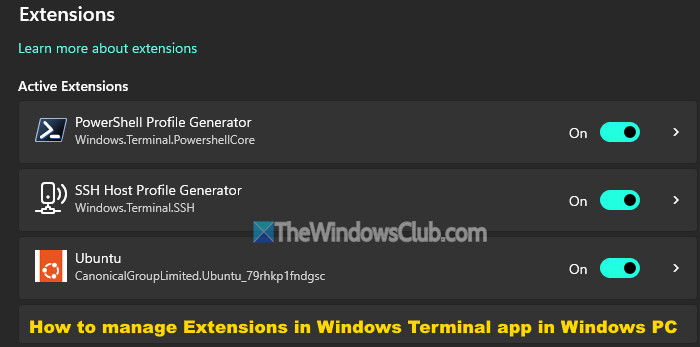 How to manage Extensions in Windows Terminal manage-extensions-windows-terminal.png