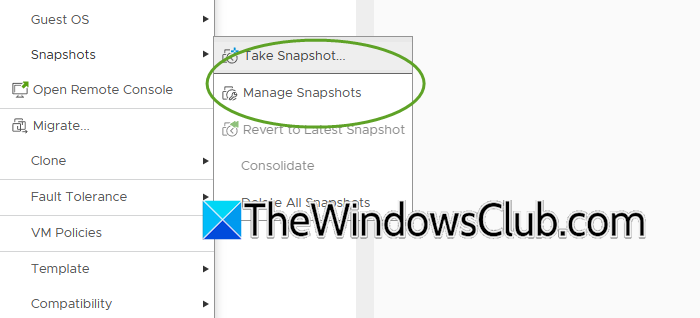 How to recover deleted files from VMware Datastore manage-snapshot-vmware.png