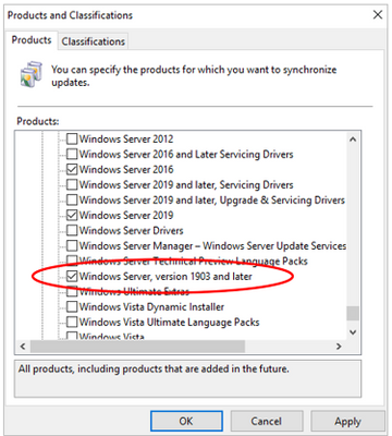 windows 10 update on device manager version 1903 medium?v=1.png