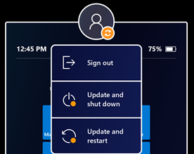 What is new in Windows 10 Holographic version 21H1 medium?v=v2&px=400.png