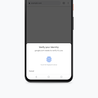 Biometric authentication for chrome autofill mFunxUTUMxe.png