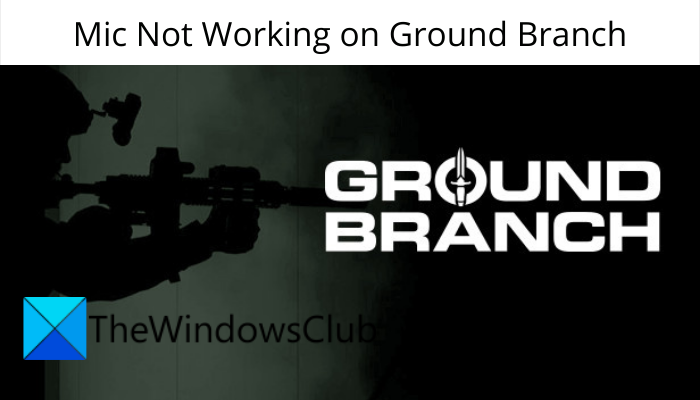 Ground Branch Mic not working [Fixed] Mic-Not-Working-on-Ground-Branch.png