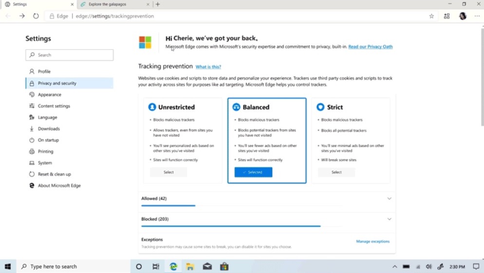 Microsoft Edge to get Collections feature and new Privacy Tools Microsoft-Edge-privacy-tool.jpg