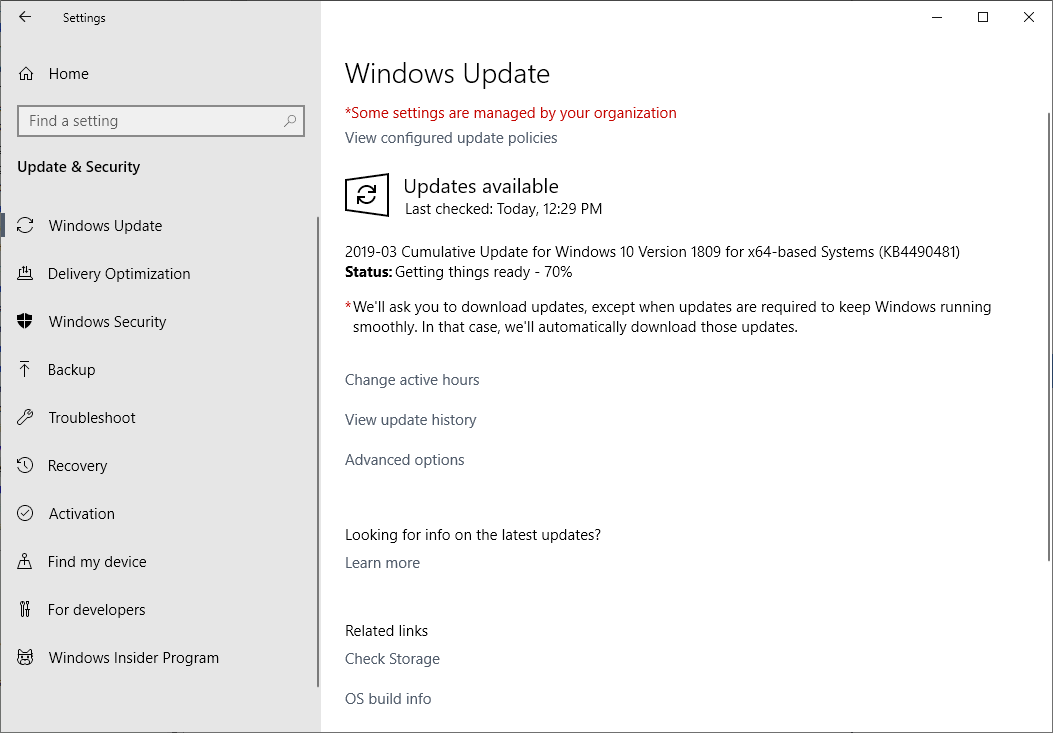 Windows 10 1809 KB4490481: the missing patch arrives, finally microsoft-windows-10-kb4490481.png