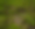 Windows 10 blurry screen log in after update - can't log in at all and need files. Tried... Ml0kW5LDh-m_1_sAbjGWjTXk_a0BU0C3TxmNoCMt-sQ.jpg
