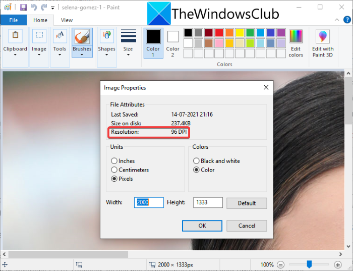 How to Check and Change Image DPI in Windows 11/10 ms-paint_check-and-change-image-dpi-in-windows-10.png