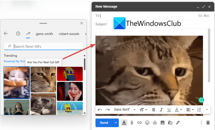 How to use New and Improved Clipboard in Windows 11 new-improved-clipboard-history-manager-feature-in-windows-11-5.png
