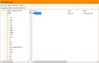 Is this a normal registry entry and can I delete it? oQuwTGvGppfNMPN7DZh7ZukJ4qZEd9BKBYtSGnKpK5k.jpg