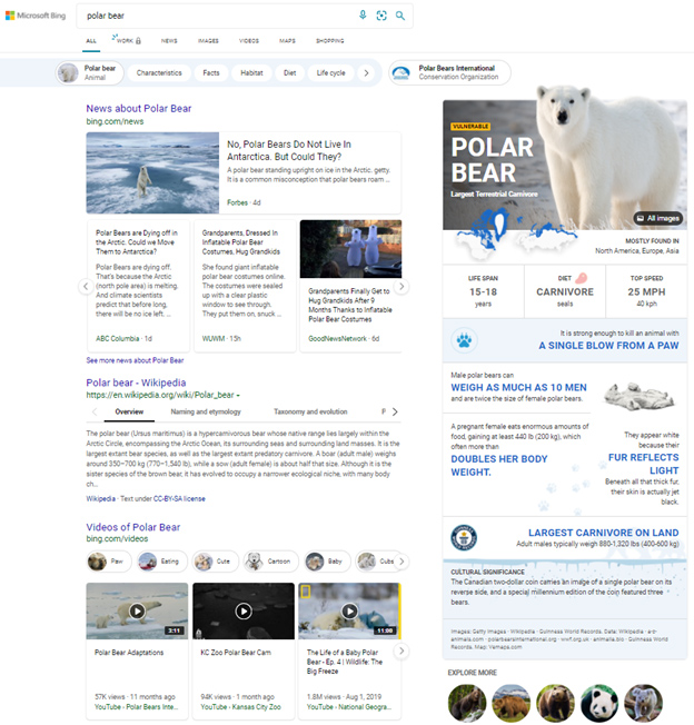 What is New in Web Experiences with Microsoft Edge for January 2021 polar-bear-Bing-knowledge-card.jpg