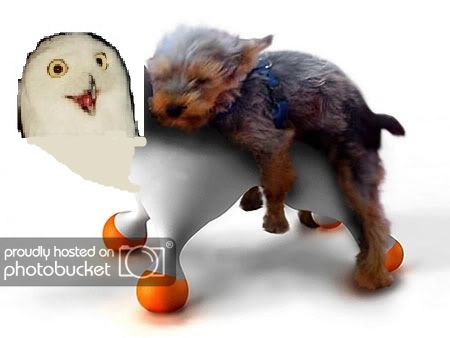 I really screwed the pooch! pooch.jpg