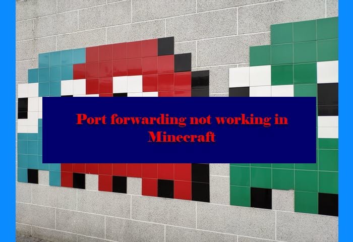 Port forwarding not working in Minecraft in Windows 11/10 port-forwarding-not-working.jpg