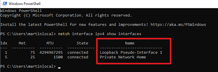 How to change network names on Windows 11 powershell-network-names.png