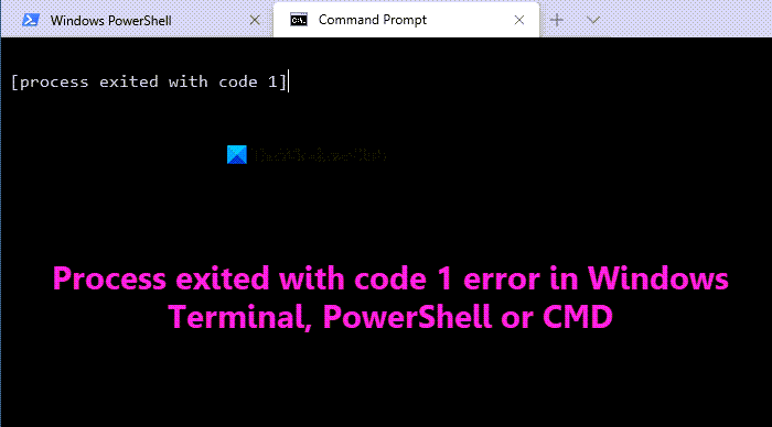 Fix Process exited with code 1 error in Windows Terminal, PowerShell or CMD process-exited-with-error-code-1.png