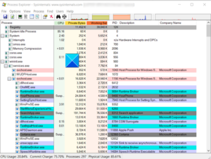 SysInternals Process Explorer tutorial: How to use it process-explorer-window-300x226.png