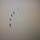 How do I get rid of this snake-like cursor? [I found out how to customize my cursor and in... QVuTMuI-5e9JLviIKrovn23rTWl5C1yrsBuEoTVoAms.jpg