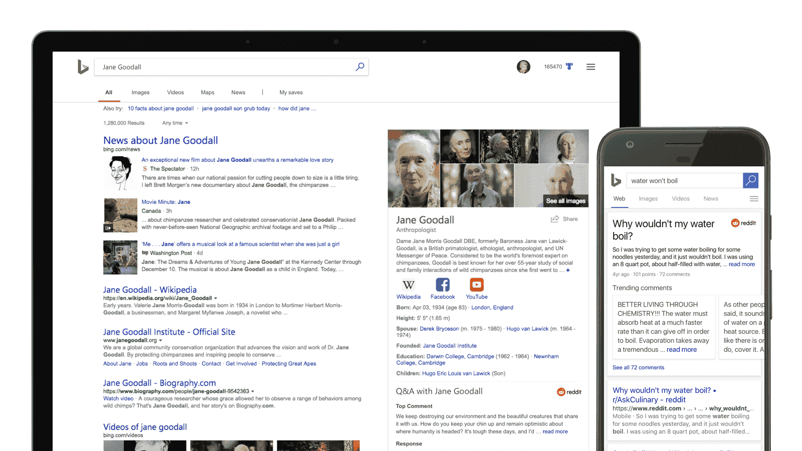 Bing Intelligent search: Coding answers at your fingertips Reddit-2.png