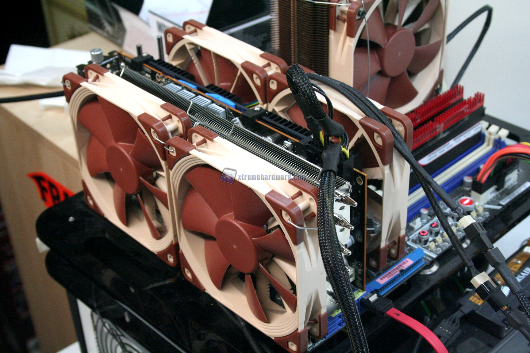 MORPHEUS RJ_NEW_00016.jpg