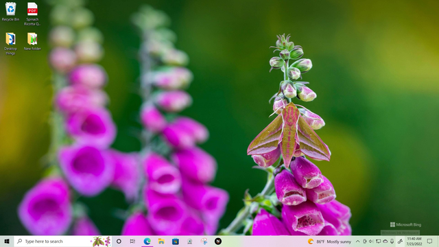 Most people dislike Search Highlight on the taskbar, but I like how along with Bing... ro0fofdq8cd91.png