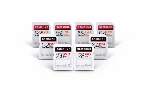 Samsung EVO Plus Micro SDXC 256 GB card unmounting automatically from Windows 11 Samsung-Full-Sized-SD-Cards-All2-600x375.jpg