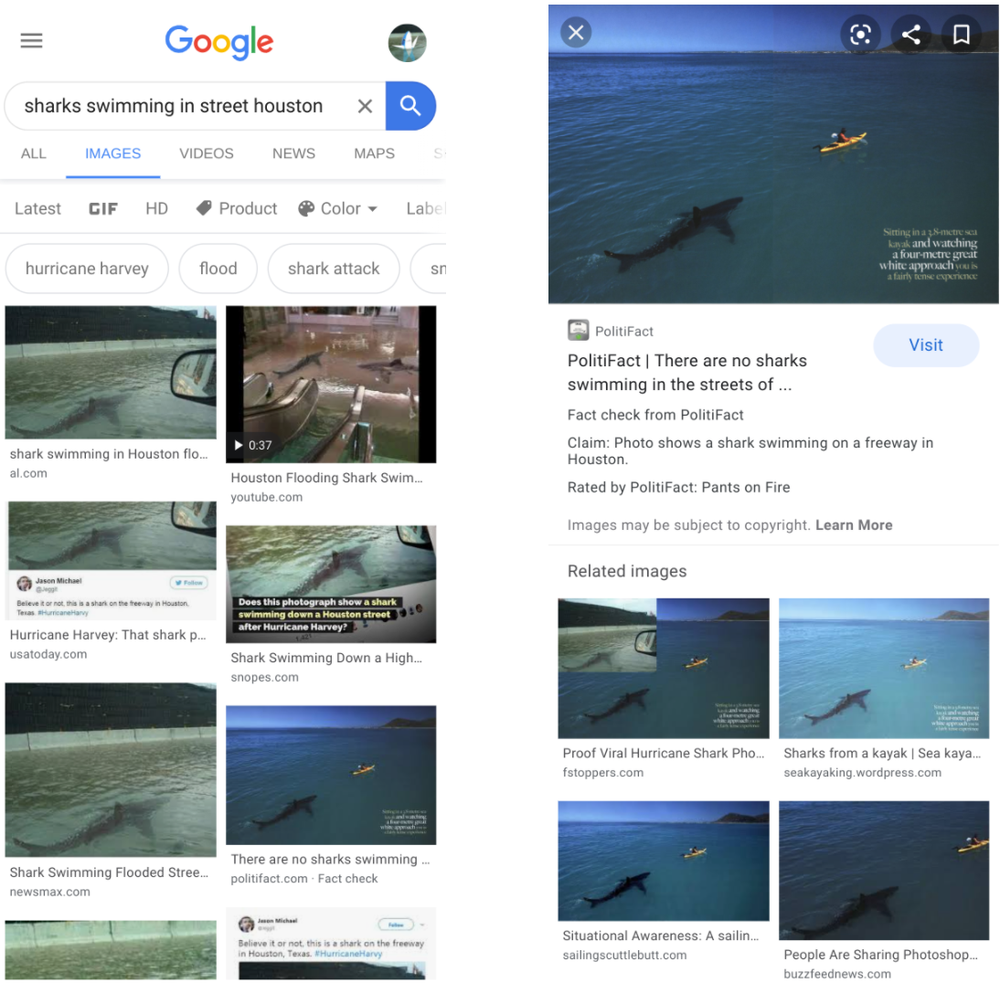 Google is bringing fact check information to Google Images Screenshot_2020-06-21_at_9.47.42_PM.max-1000x1000.png