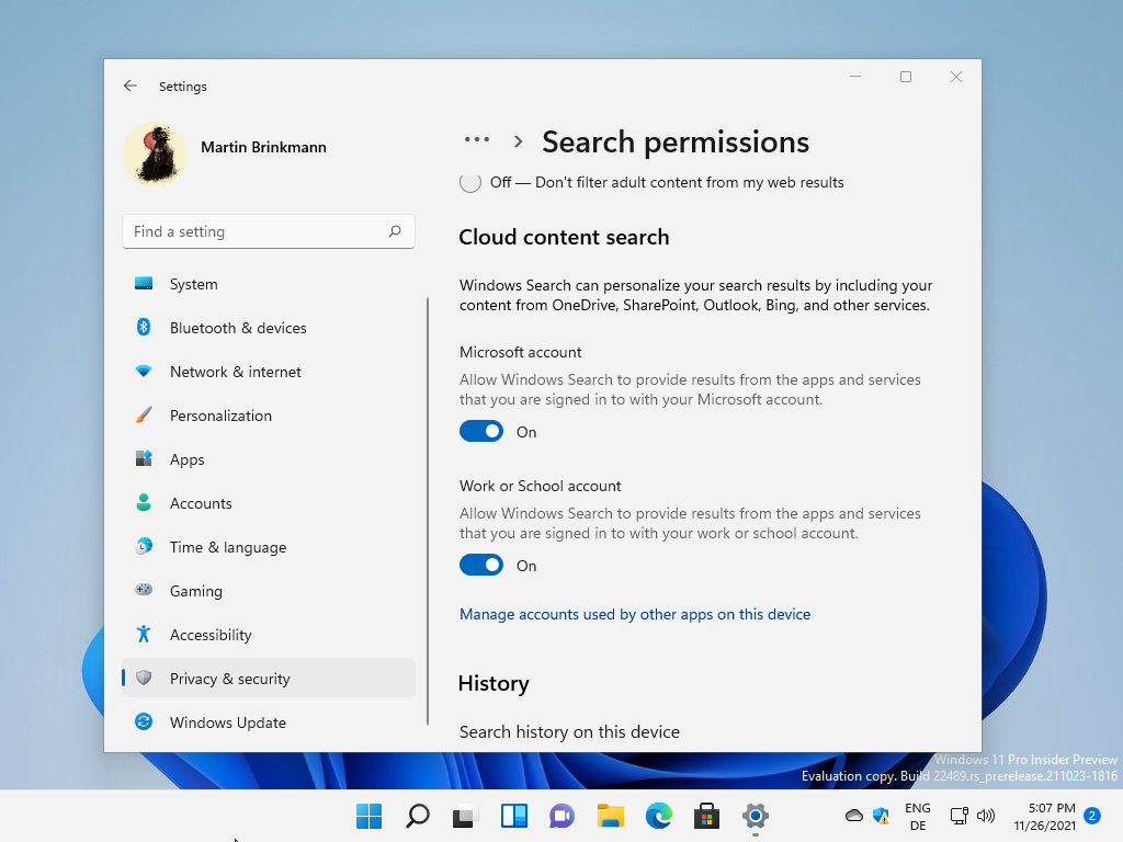 How to turn off "Search the Web" results in Windows 11 search-permissions.png