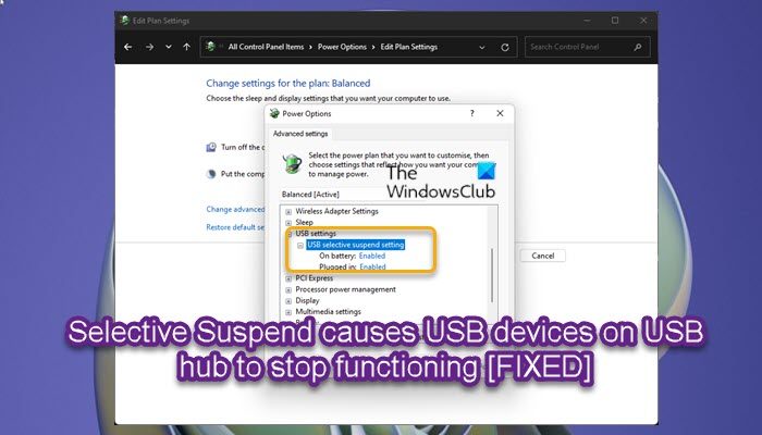 Selective Suspend causes USB devices on USB hub to stop functioning Selective-Suspend-causes-USB-devices-on-USB-hub-to-stop-functioning.jpg