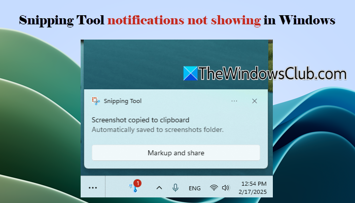 Snipping Tool notifications not showing in Windows 11 Snipping-Tool-notifications-not-showing-in-Windows-11.png