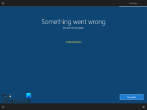 Something went wrong, OOBESETTINGS message during Windows 10 Setup Something-went-wrong-OOBESETTINGS-300x224.png