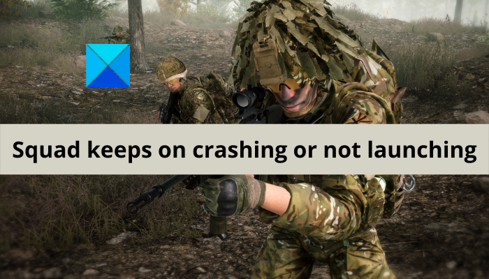Squad not launching, responding or working; Keeps crashing on PC Squad-keeps-on-crashing-or-not-launching.png