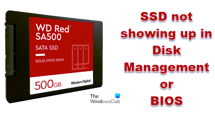 SSD not showing up in Disk Management or BIOS in Windows 11/10 SSD-not-showing-up-in-Disk-Management-or-BIOS.png