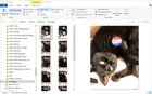 How to turn on double preview pane? Tb_ibsj18uRpI5F-4Z7ABy2SsSeboXJ7PWghUQJxx6s.jpg