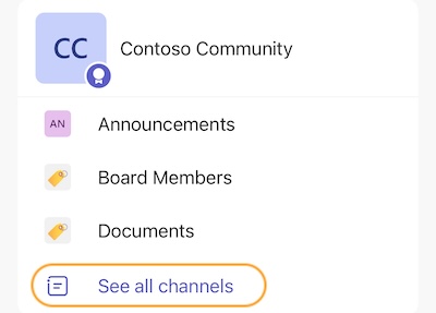 Why is support not available? December 3, 2024 Teams_Mobile_See_all_channels.jpg