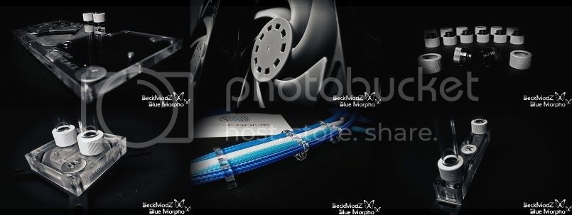 internet gets disconnected while plug in Morpho device teaser_zpsqxnospha.jpg