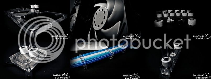 morpho device not connected teaser_zpsqxnospha.jpg
