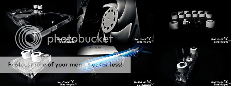 not connect morpho teaser_zpsqxnospha.jpg