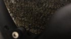Someone please help me identify this notification. It’s driving me insane. TEDdK_HmgXZcpuoq_EsMfgXlkVLtMdOrPwtCsWRm5Ag.jpg